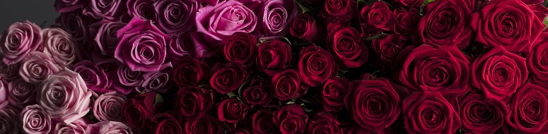 Flowers & Gifts
