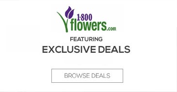 Flowers & Gifts