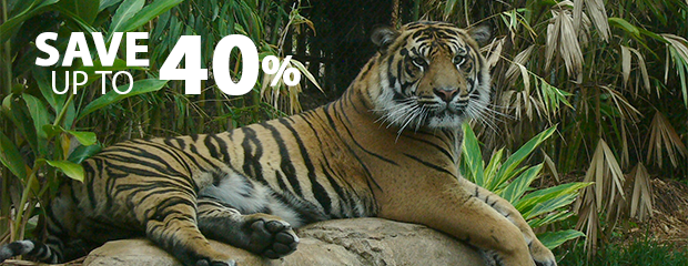San Diego Zoo
