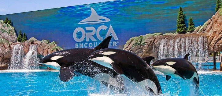 SeaWorld Parks